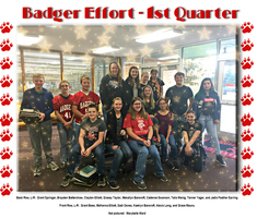 1st Quarter Badger Effort Awards at VMS