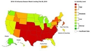 2019 Flu Season