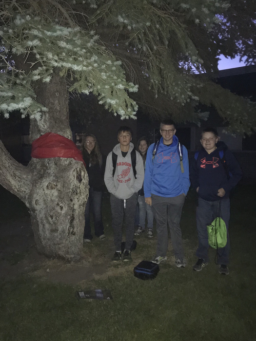 VMS Student Council put red ribbons on the trees surrounding the school to promote Red Ribbon Week. (Drug Prevention)