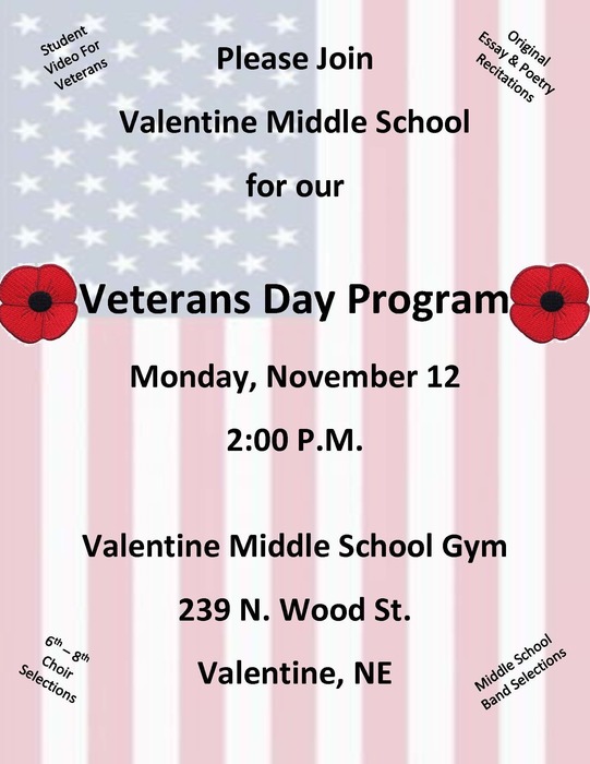 VMS Veteran's Day Program